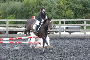 Class 5 - Fences not above 2'6